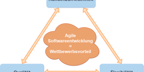Infografik agile Softwareentwicklung