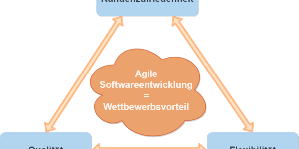 Infografik agile Softwareentwicklung